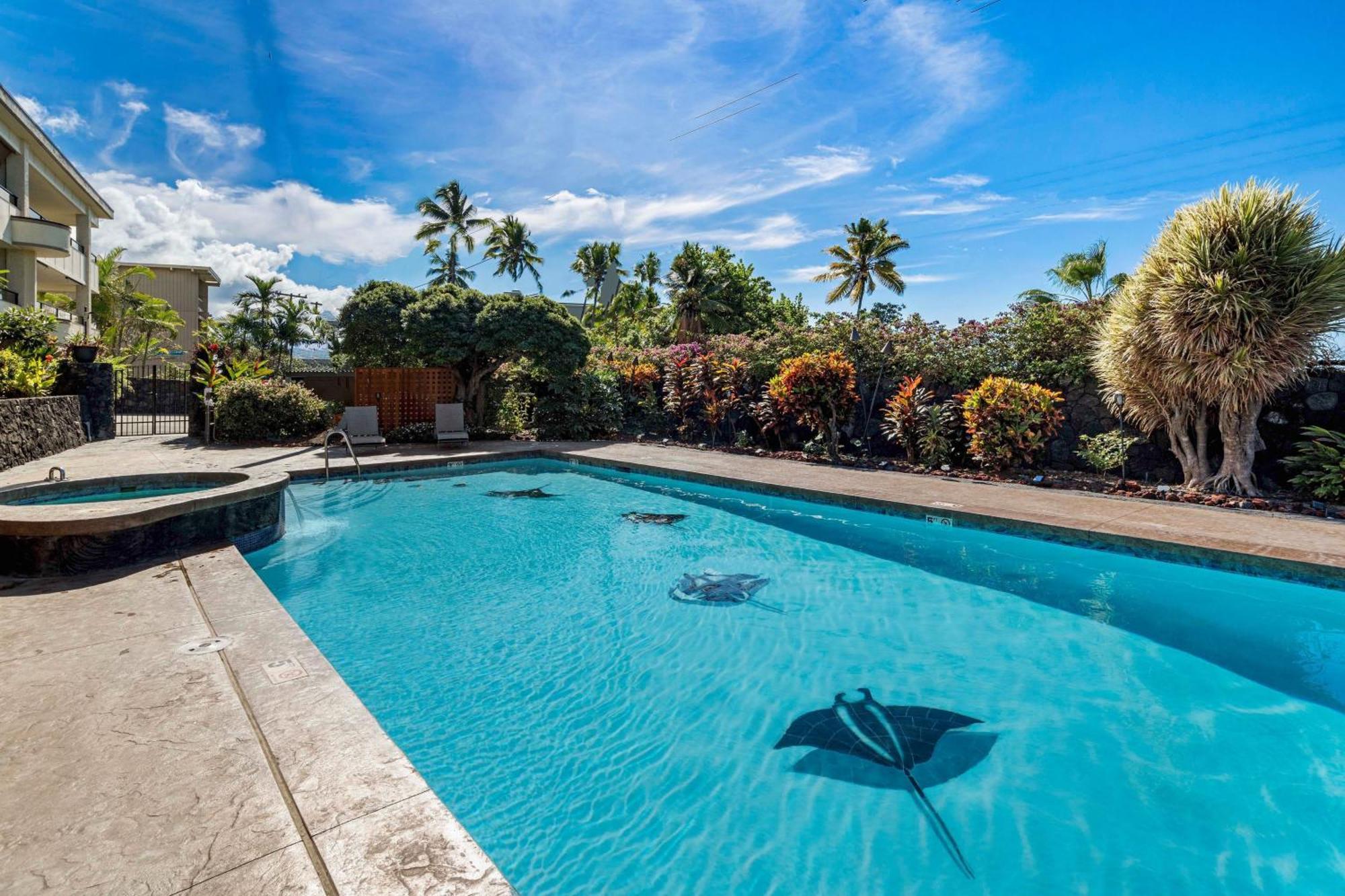 Direct Oceanview Paradise In A Luxury Condo 2B2B,Ac Kailua Kültér fotó